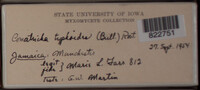 Image Associated With the Occurence